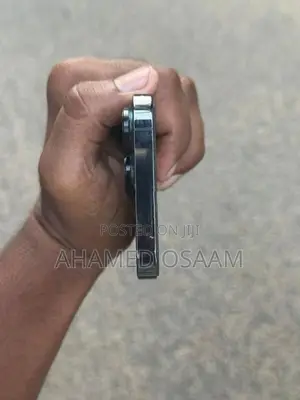 Apple iPhone 13 Pro (Used)