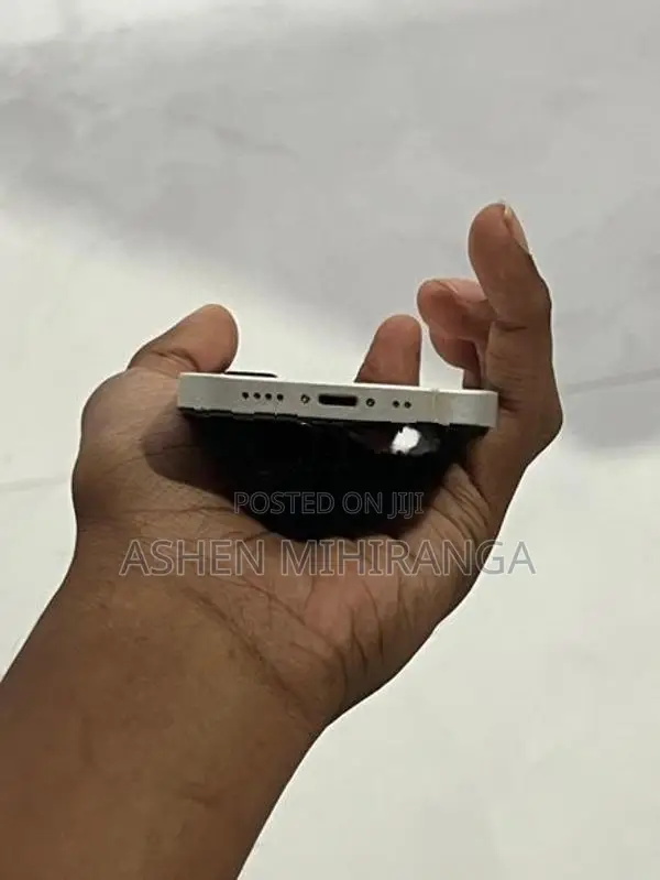 Apple iPhone 12 mini (Used)