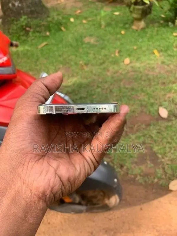 Apple iPhone 12 Pro (Used)