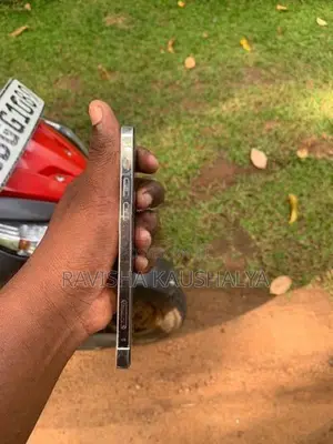 Apple iPhone 12 Pro (Used)
