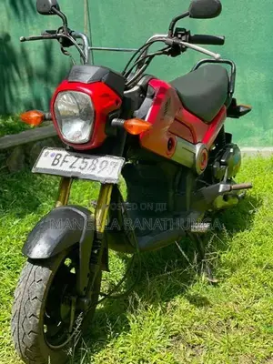 Honda Navi 2017