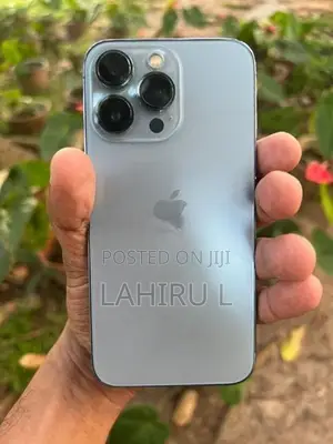 Apple iPhone 13 Pro 256GB (Used)