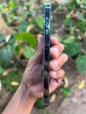 Apple iPhone 13 Pro 256GB (Used)