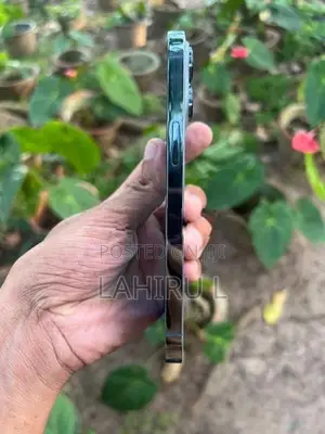 Apple iPhone 13 Pro 256GB (Used)