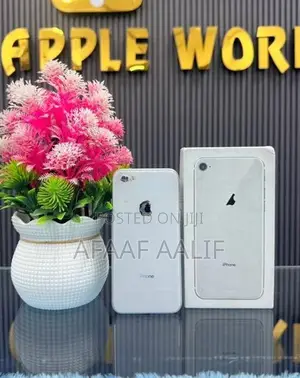 Apple iPhone 8 256GB (Used)