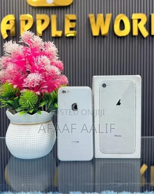 Apple iPhone 8 256GB (Used)