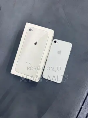 Apple iPhone 8 256GB (Used)