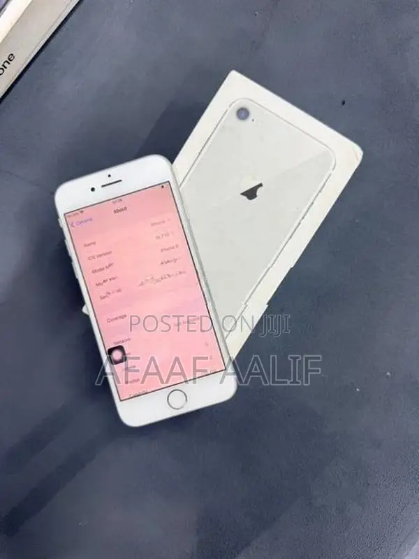 Apple iPhone 8 256GB (Used)