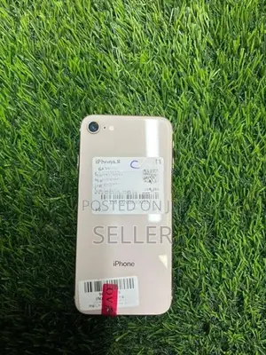 Apple iPhone 8 (Used)