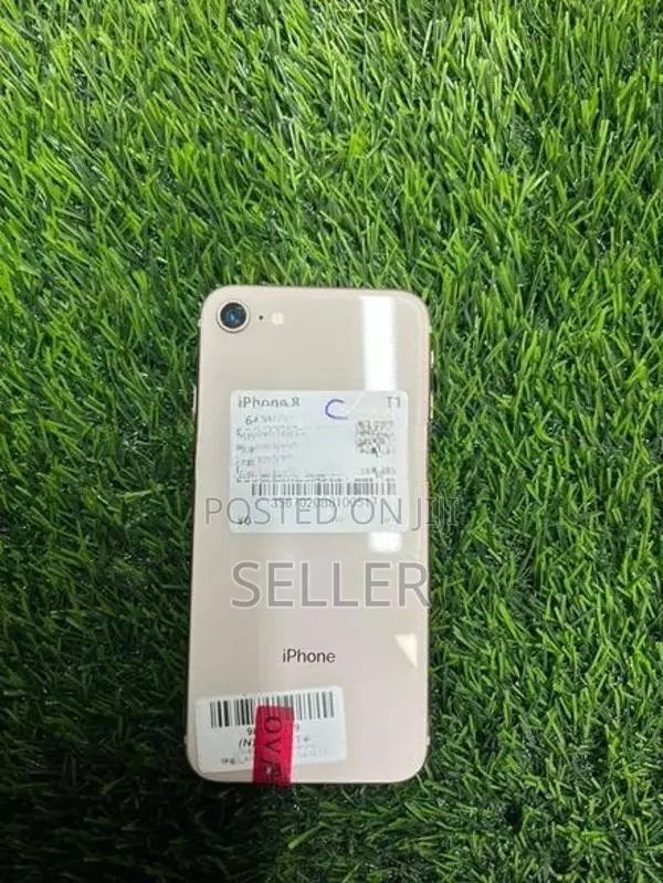 Apple iPhone 8 (Used)