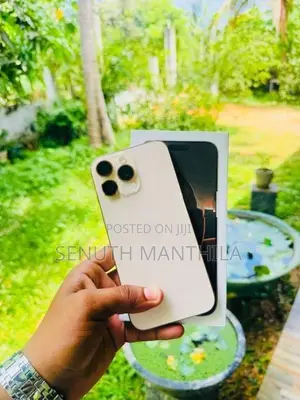 Apple iPhone 16 Pro Max (Used)
