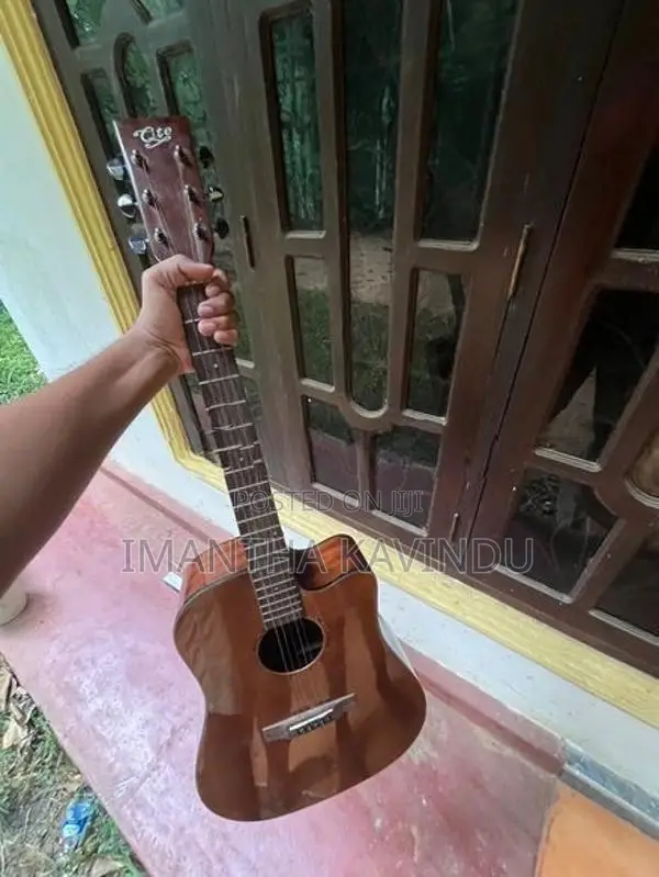 Guitar