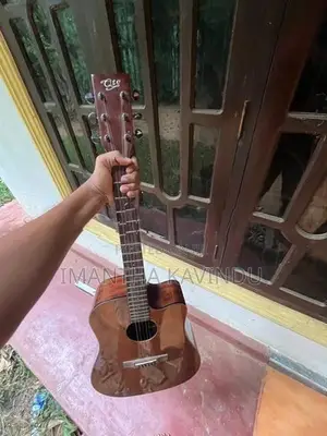 Guitar