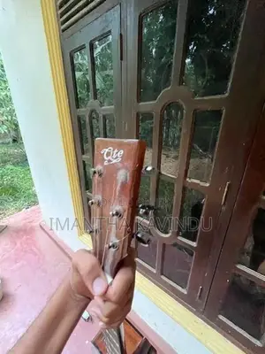 Guitar