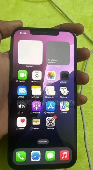 Apple iPhone 12 Pro Max (Used)
