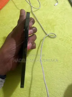 Apple iPhone 12 Pro Max (Used)
