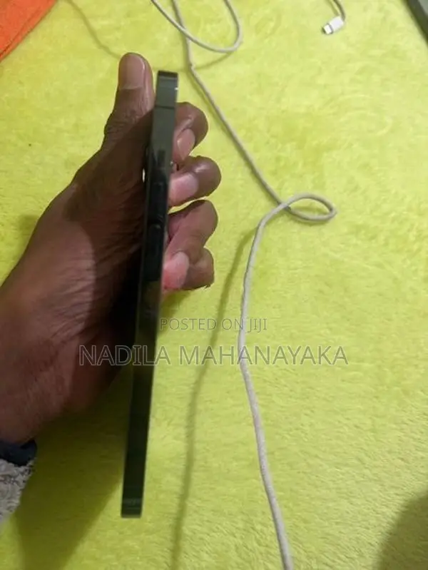 Apple iPhone 12 Pro Max (Used)