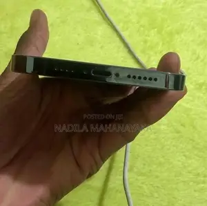 Apple iPhone 12 Pro Max (Used)