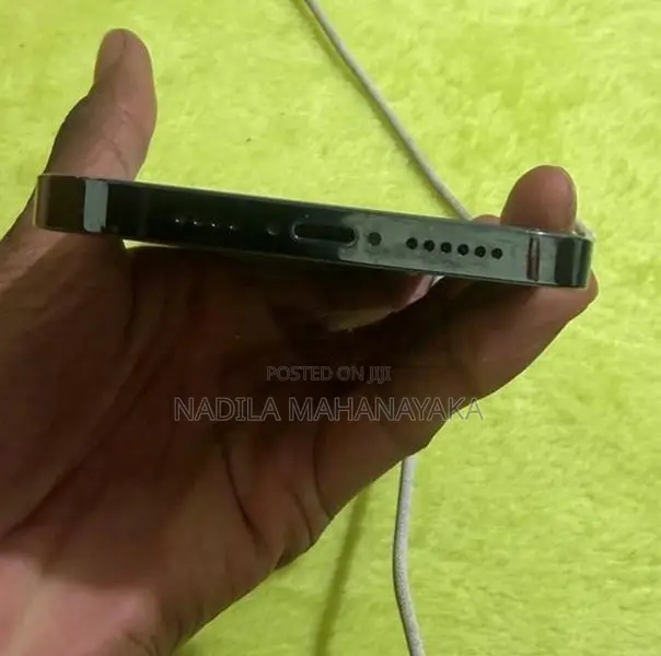 Apple iPhone 12 Pro Max (Used)