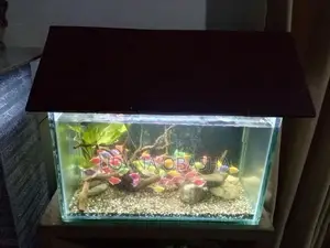 Fish Tank with