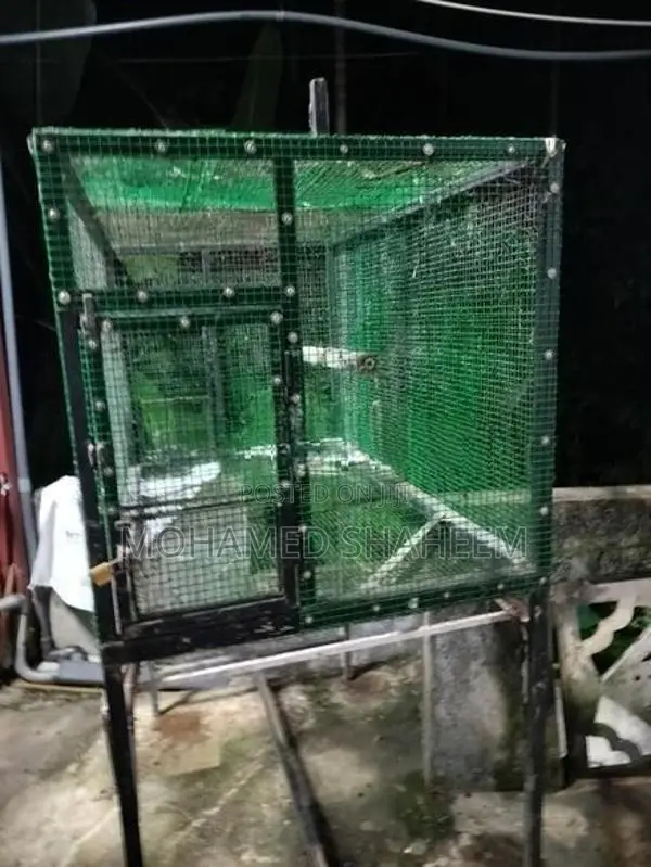 Bird Cage