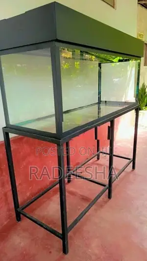 Fish Tank