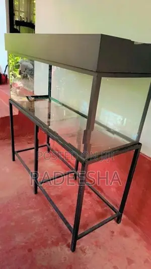 Fish Tank