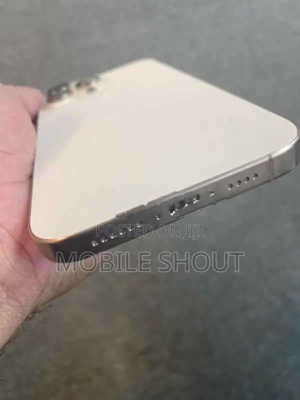 Apple iPhone 16 Pro Max (Used)