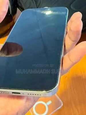 Apple iPhone 16 Pro Max (Used)