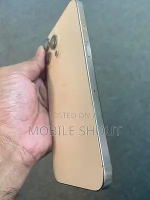 Apple iPhone 16 Pro Max (Used)
