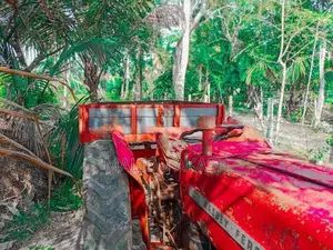 Massey Ferguson 135 2000