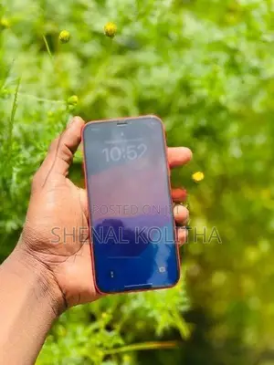 Apple iPhone 12 (Used)