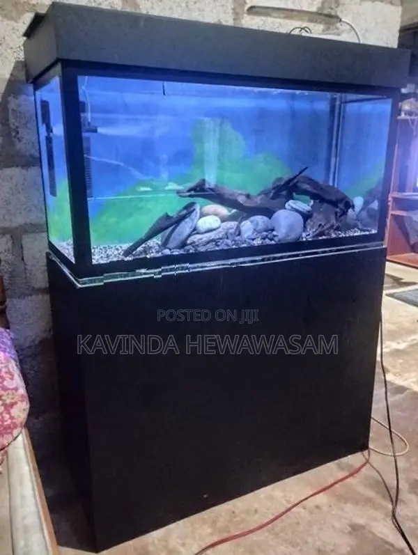 3 Feet Fish Tank