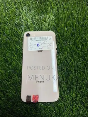 Apple iPhone 8 64GB (Used)