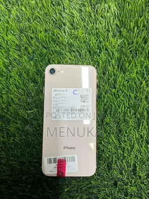 Apple iPhone 8 64GB (Used)