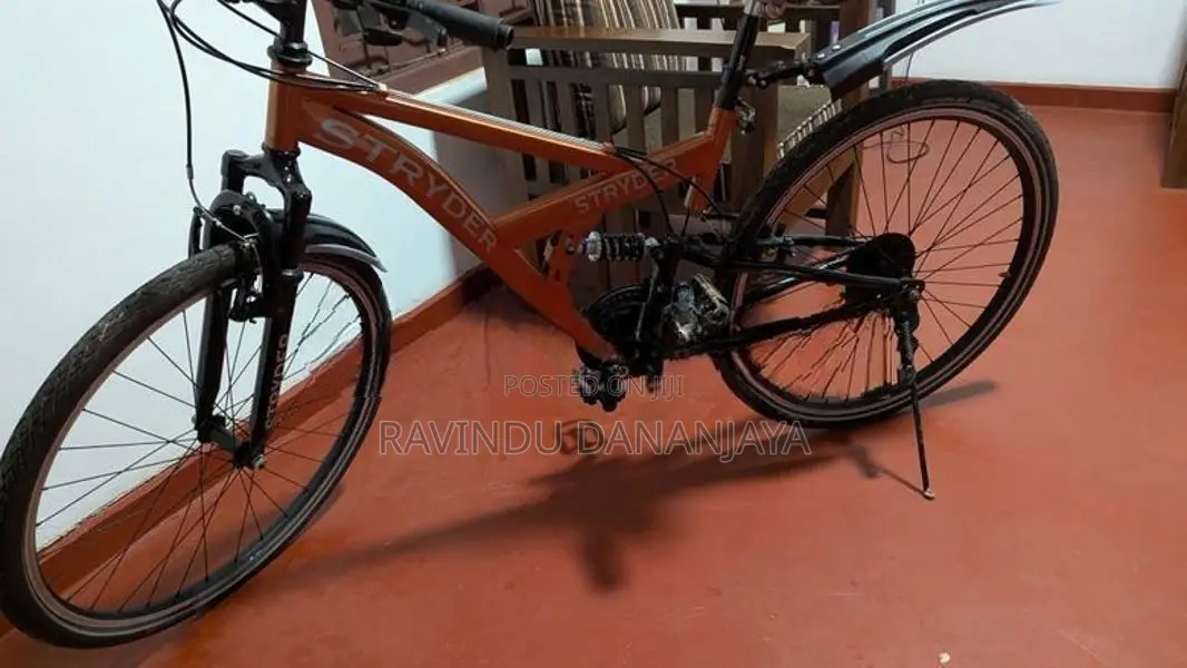 Mountain Bike