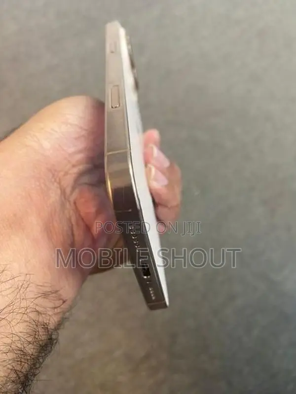 Apple iPhone 16 Pro Max (Used)