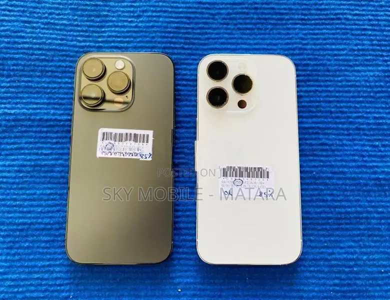 Apple iPhone 13 Pro 256GB (Used)