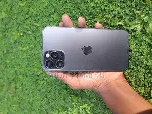 Apple iPhone 12 Pro Max (Used)