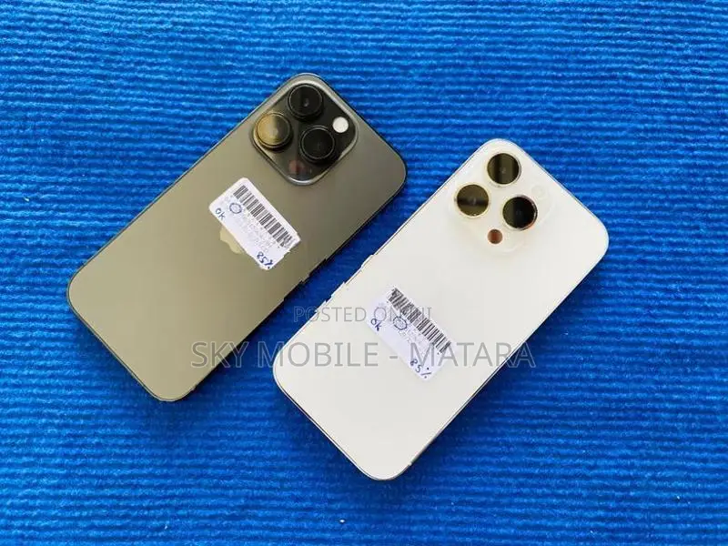 Apple iPhone 13 Pro 256GB (Used)