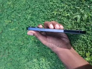 Apple iPhone 12 Pro Max (Used)