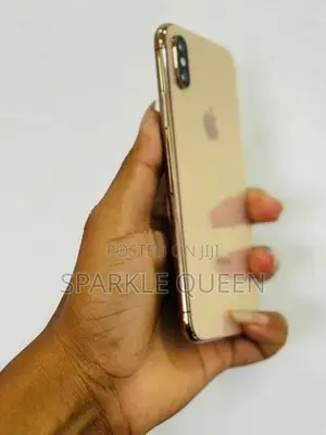 Apple iPhone XS 256GB (Used)