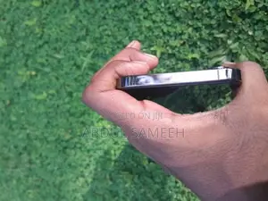 Apple iPhone 12 Pro Max (Used)