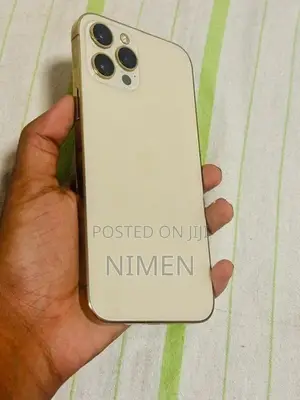 Apple iPhone 12 Pro Max (Used)