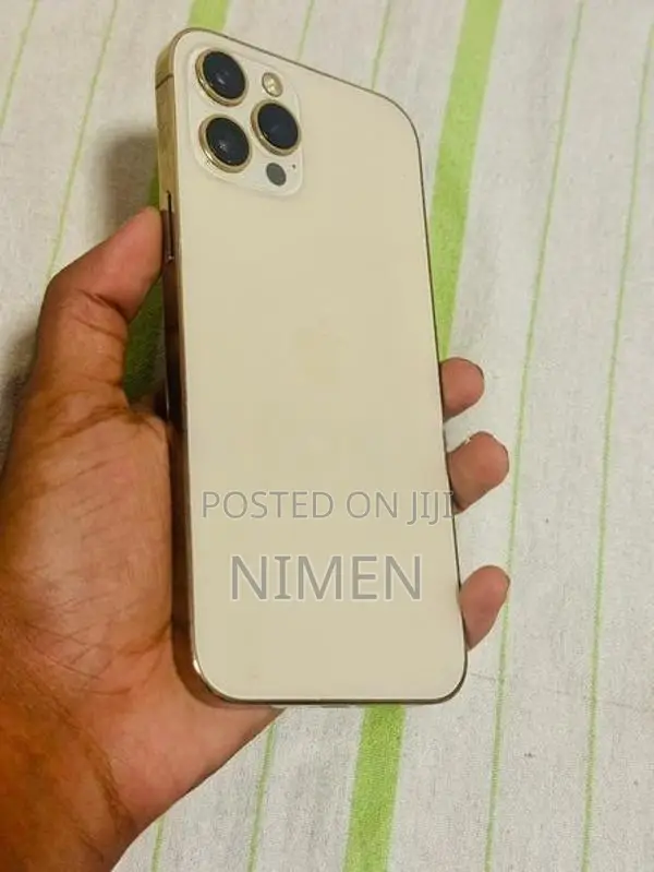 Apple iPhone 12 Pro Max (Used)