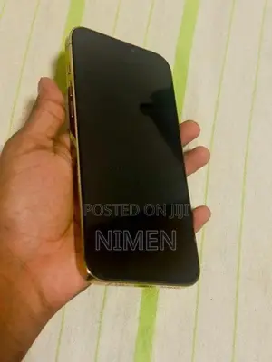 Apple iPhone 12 Pro Max (Used)