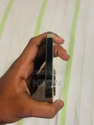 Apple iPhone 12 Pro Max (Used)