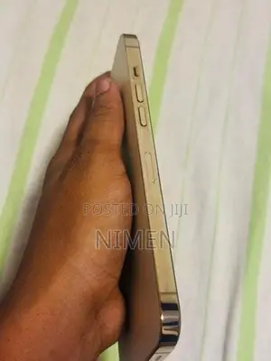 Apple iPhone 12 Pro Max (Used)