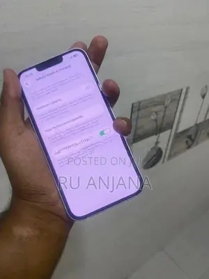 Apple iPhone 13 (Used)
