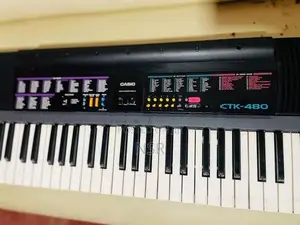 Casio CTK 61 Keys Keyboard Organ